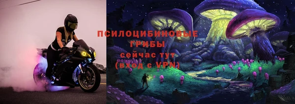 герыч Белокуриха