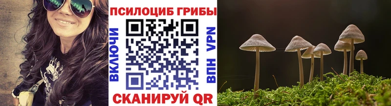 Купить  Белая Калитва  Галлюциногенные грибы мухоморы 